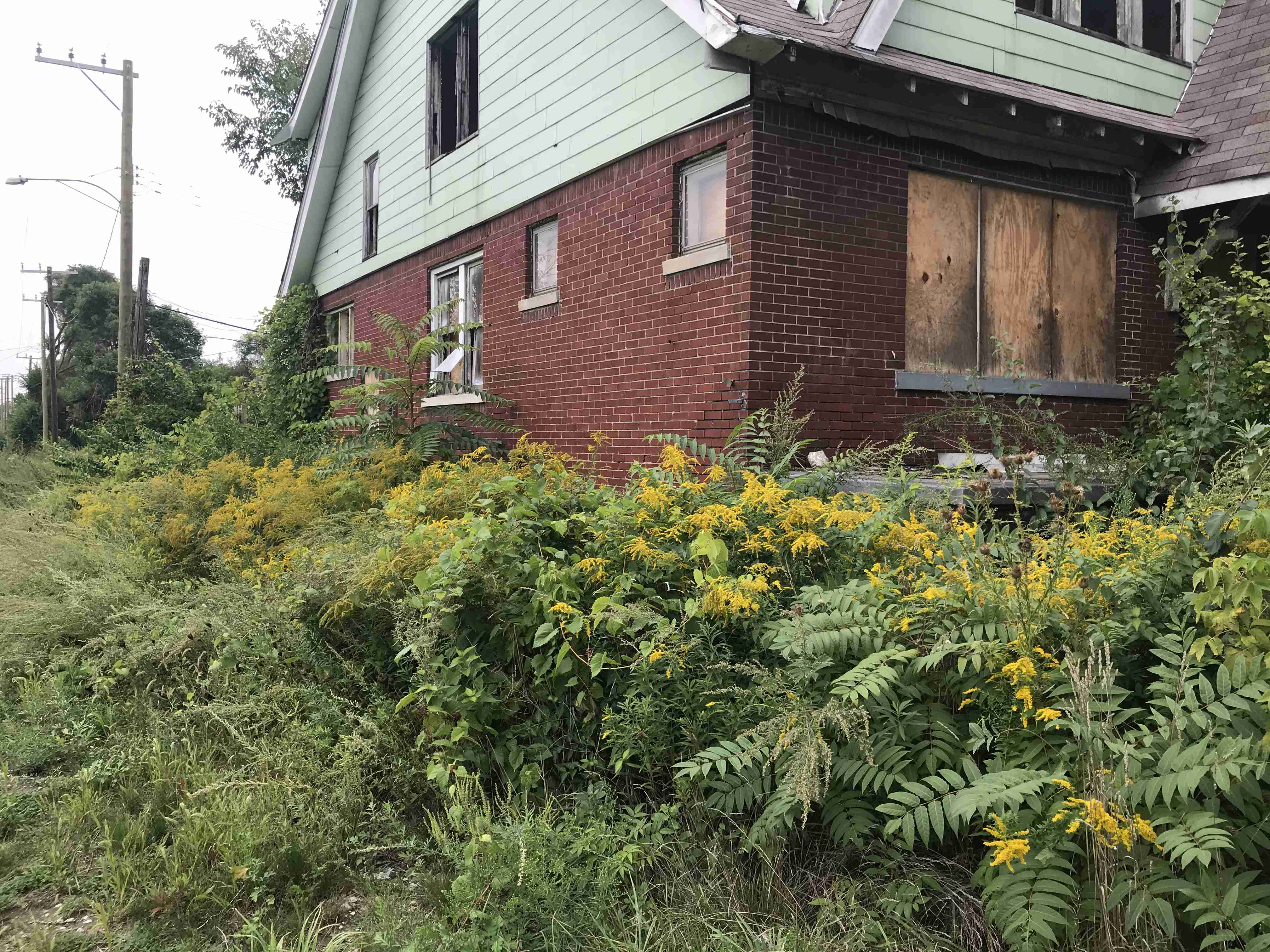 Photo Sep 09, 4 16 21 PM.jpg